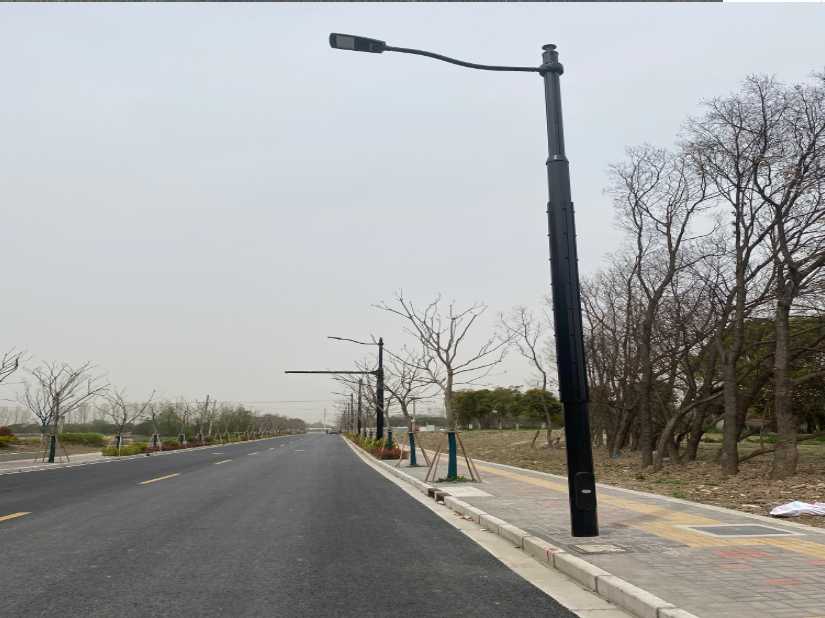 改则县上海综合杆 太阳能路灯工程